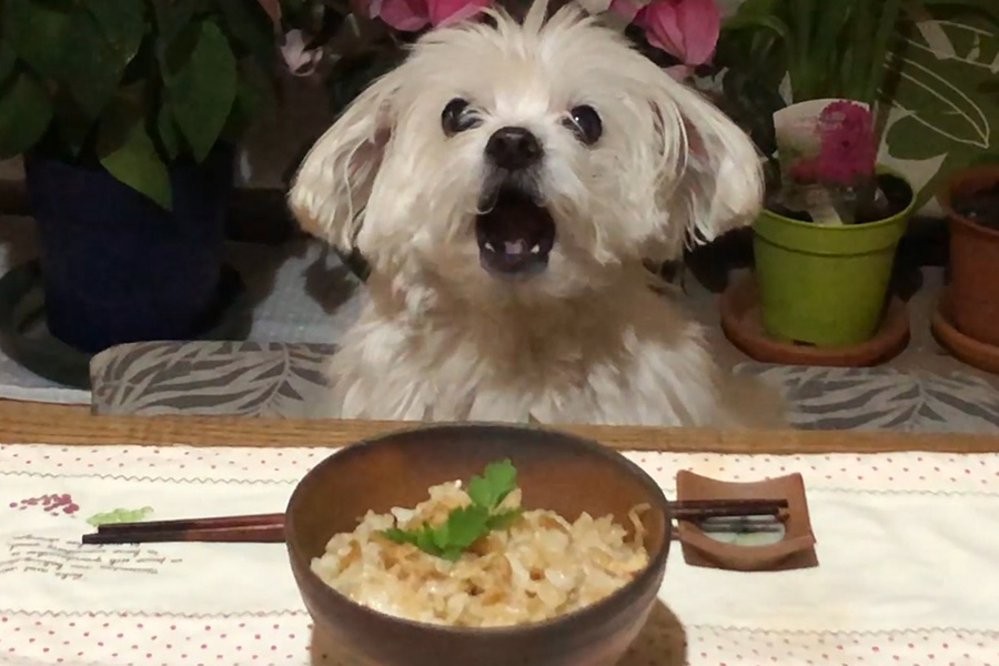 鶏ももとたけのこの混ぜご飯の作り方 あさりおん