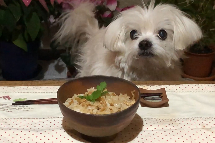 鶏ももとたけのこの混ぜご飯の作り方 あさりおん