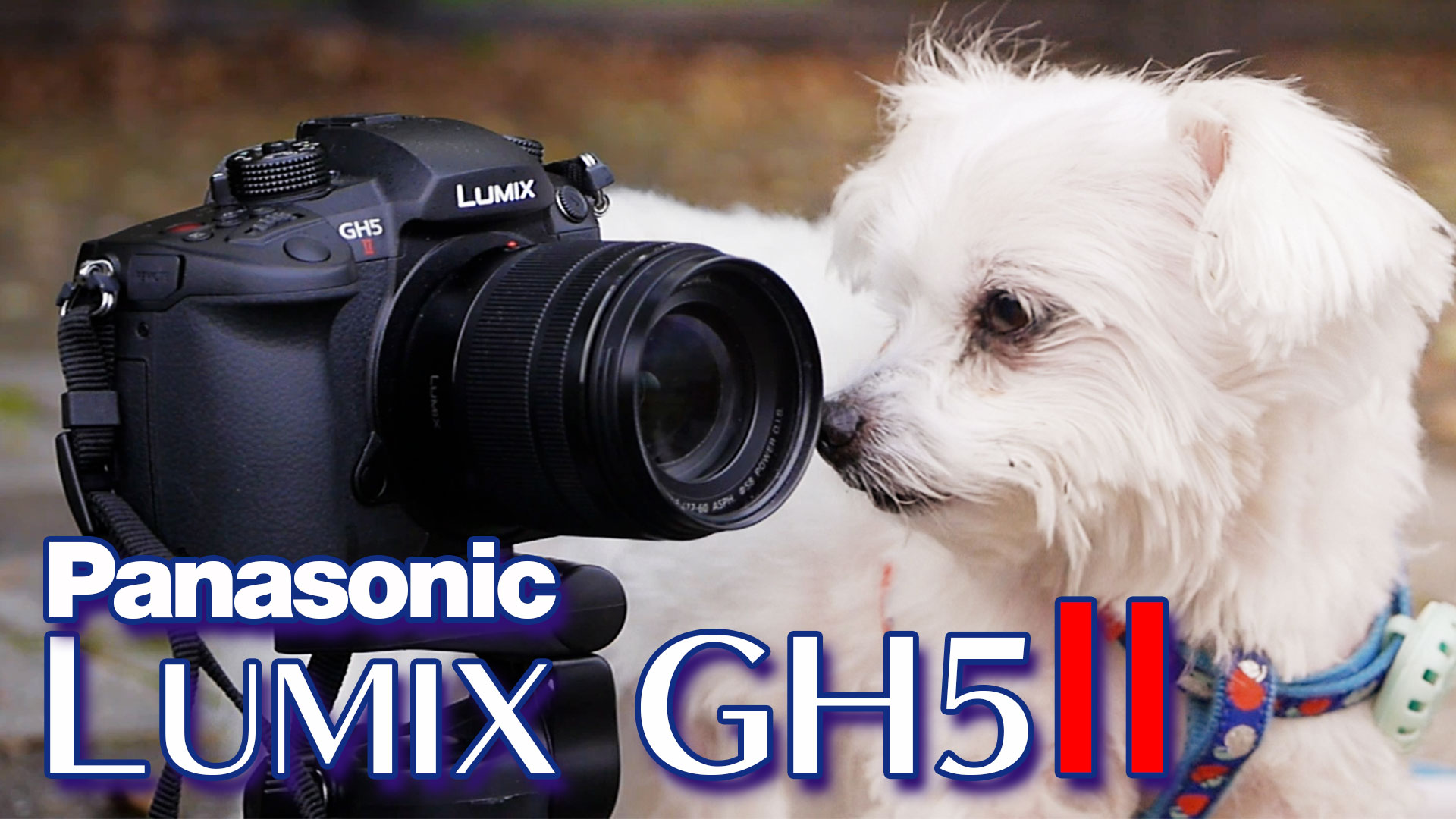 panasonic gh5 in 2021